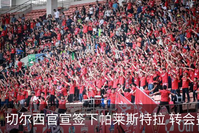 切尔西官宣签下帕莱斯特拉 转会费超5500万欧签约7年