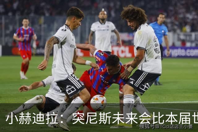 小赫迪拉：突尼斯未来会比本届世界杯更好 批评？我已经付出全力
