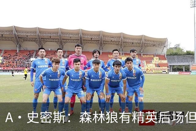 A·史密斯：森林狼有精英后场但体型变小 难应对雷霆马刺火箭掘金